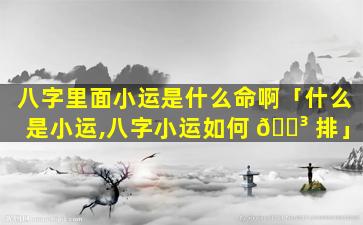 八字里面小运是什么命啊「什么是小运,八字小运如何 🐳 排」